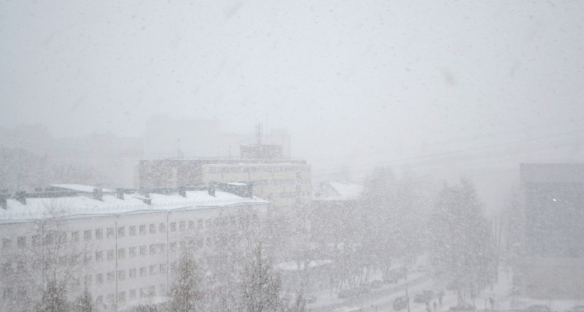 В регионе объявили жёлтый уровень опасности: прогноз погоды в Воронежской области на 28 января