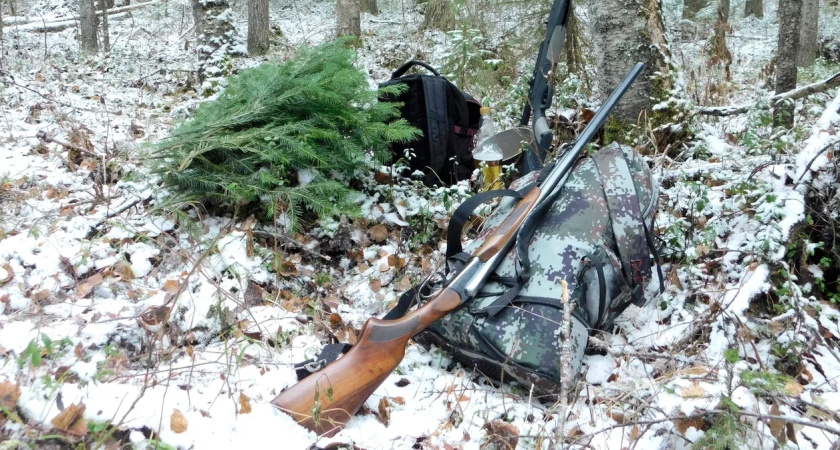 В Воронежской области утвердили сроки охоты на 2026–2027 год