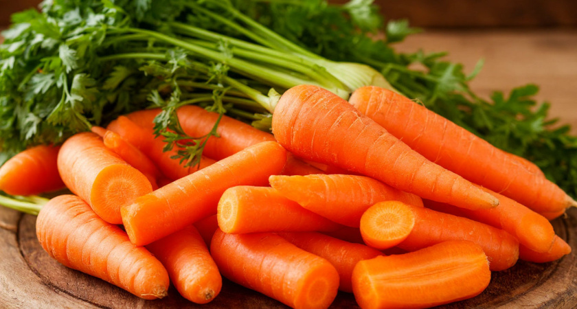 Как вырастить ровную и крупную морковь: три главных правила