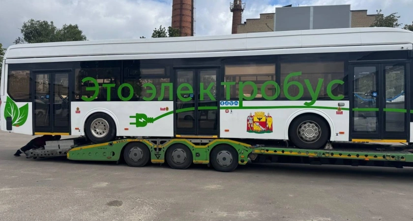 Новые воронежские электробусы не справились с морозами