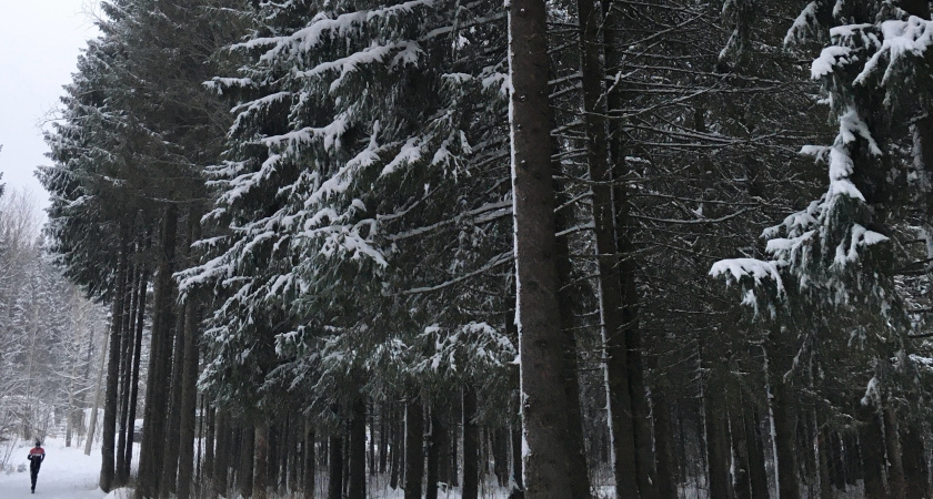 Аномальные морозы продолжатся: прогноз погоды в Воронежской области на 4 февраля 