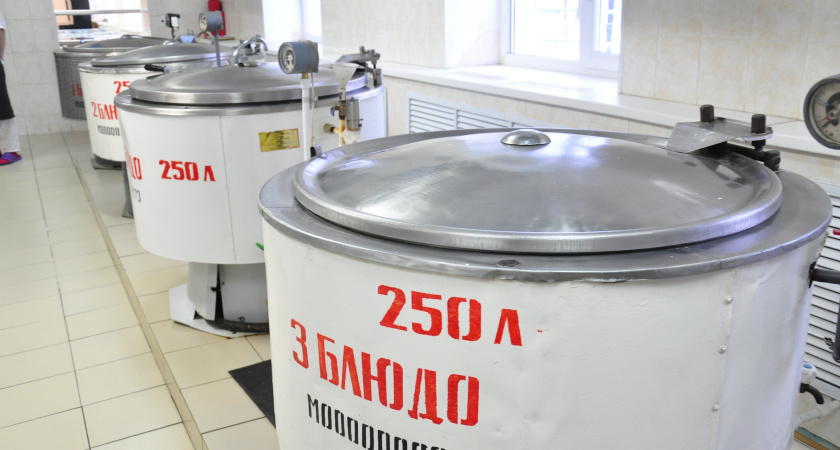 В воронежских школах обнаружены нарушения в ценовой политике столовых