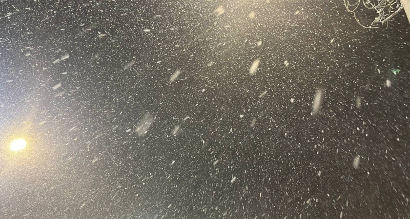 Морозы и снег накроют регион: прогноз погоды в Воронежской области на 9 февраля 