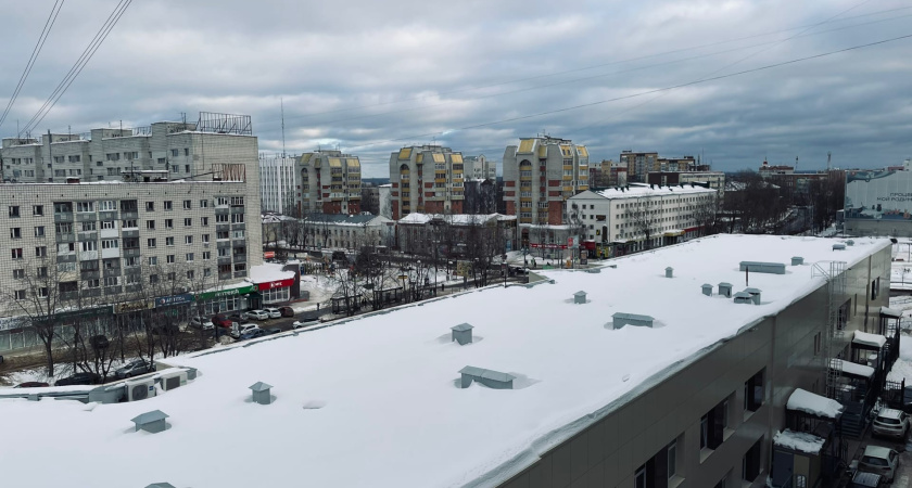 В Воронежской области от падения снега и льда с крыши пострадали женщина с ребенком