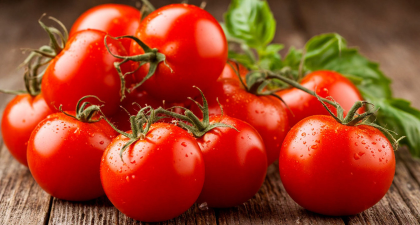 Опытные огородники выбирают только эти сорта помидоров: переживут даже «сибирские морозы»