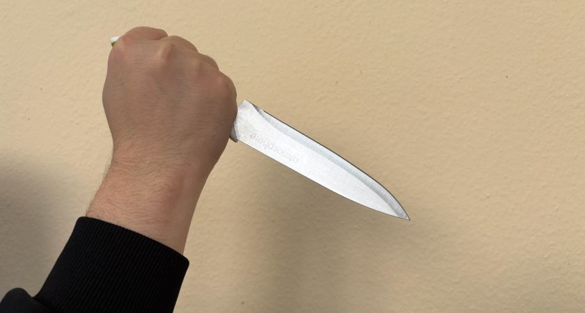 В Воронежской области выросла статистика по совершению убийств 