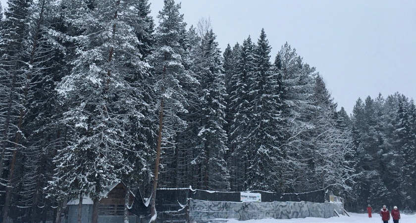 В регион снова придут суровые морозы: прогноз погоды в Воронежской области на 16 февраля