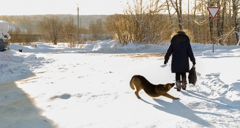Если планируете жить комфортно до 90: запомните 5 простых привычек для долгой и счастливой жизни