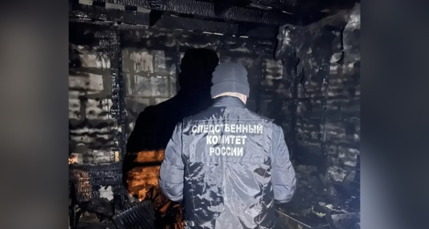 В Воронежской области на пожаре погиб двухлетний ребенок