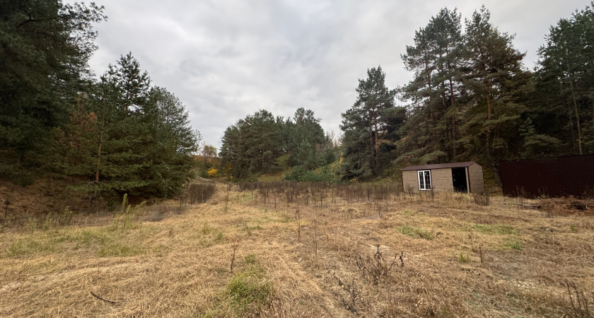 За махинации с землей под Воронежем на 920 тысяч рублей возбудили уголовное дело