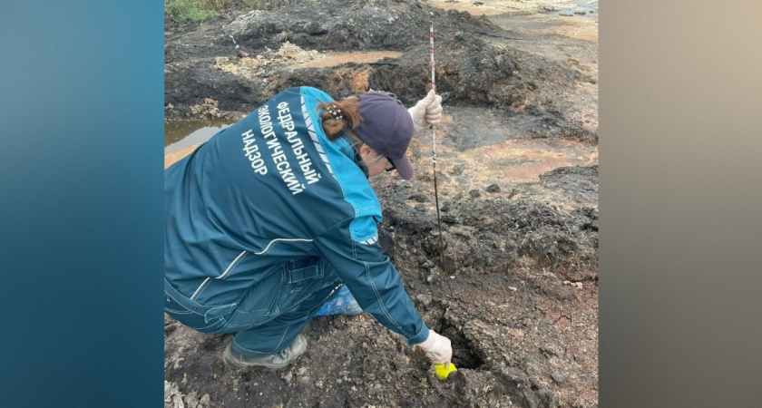 Воронежского производителя молока обязали заплатить 830 тысяч за порчу почв