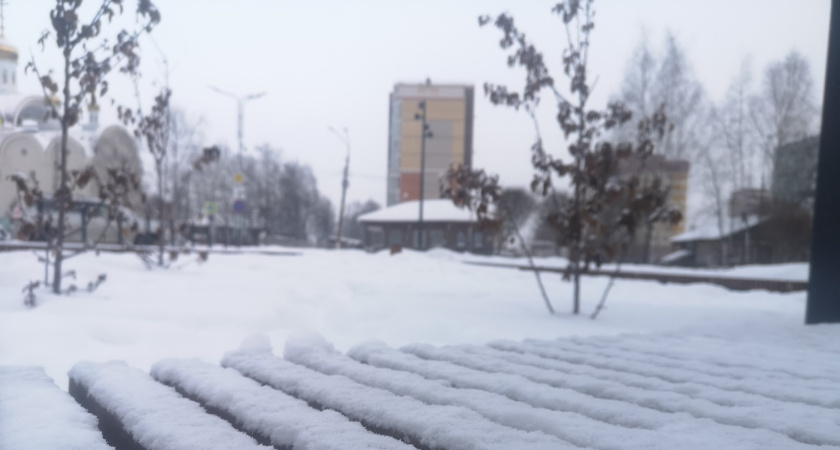 Снег и мороз до -17 обещают жителям Воронежской области в воскресенье 22 февраля