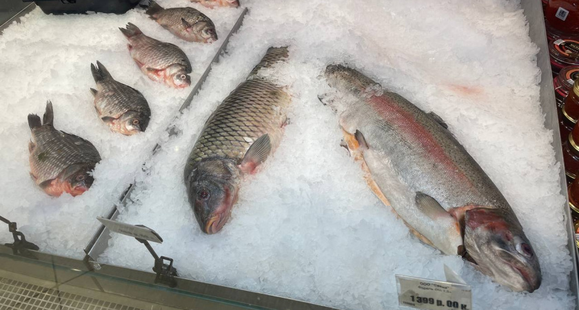 Найдена самая полезная для человека рыба: нужно есть дважды в неделю