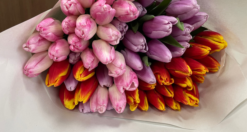 Трехдневные выходные ждут воронежцев в марте благодаря переносу праздничного дня