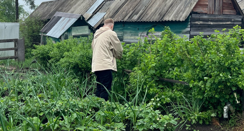 Борьбу с тлёй начинаю в феврале, до распускания почек — раскрываю секрет, о котором молчат соседи