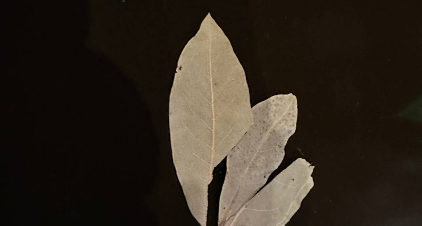 Перед уборкой всегда кипячу лавровый лист по совету свекрови - лучший бытовой лайфхак из моей копилки