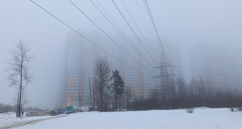 Снег с дождем и туман ожидаются в Воронежской области 27 февраля
