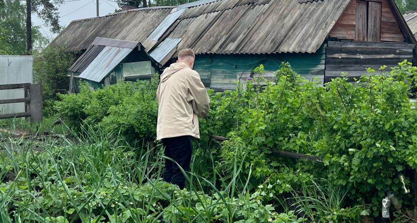 "Насажали, а потом годы избавиться от них не могут": Топ-13 агрессивных растений, которые лучше никогда не сажать на участке
