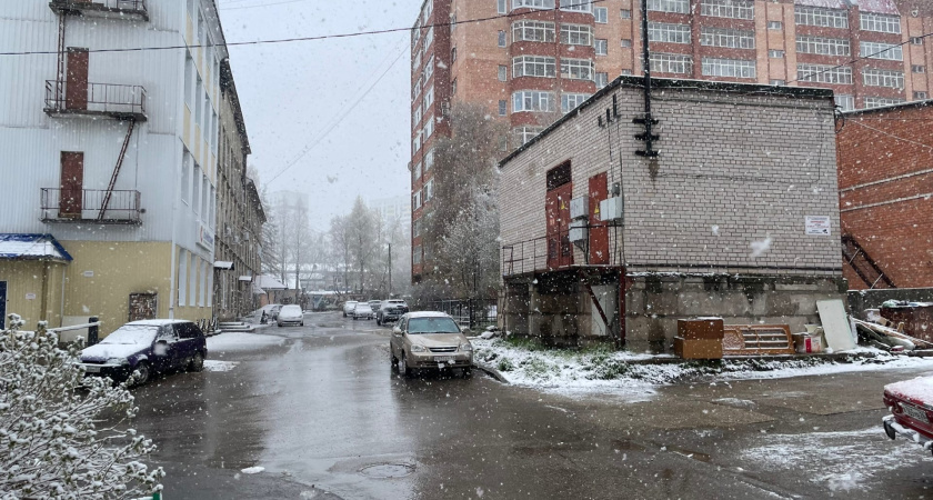 Без осадков и до +5 градусов: прогноз погоды в Воронежской области на 2 марта