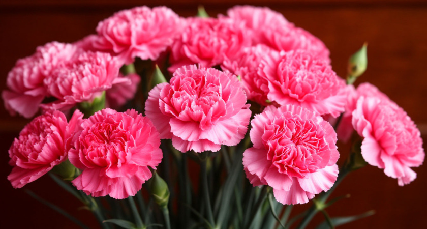 Пионы в пролете - этот эффектный многолетник пахнет, словно дорогие духи. Цветет с лета и до жгучих морозов