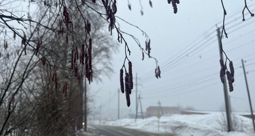 Снег и гололедица: прогноз погоды в Воронежской области на 3 марта