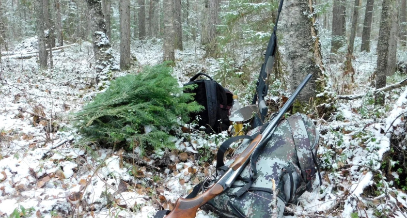 Воронежским охотникам напомнили о сдаче разрешений после закрытия сезона