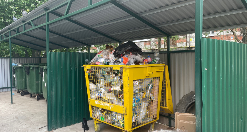 Власти Воронежа ищут способ построить новый мусорный полигон за 4 миллиарда рублей