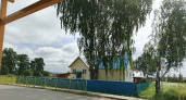 Три дерева, которые нельзя сажать рядом с домом: энергетические последствия и народные поверья