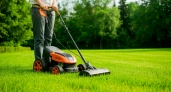 "И зачем так мучиться, убери леску с триммера": сосед из деревни подсказал, как легко скашивать траву и не тратиться на дорогую леску