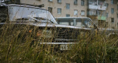 В Воронежской области вырастут размеры государственных автомобильных пошлин