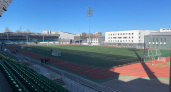 Воронежский "Факел" наказали за ругань матом среди болельщиков
