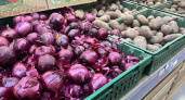 Овощная продукция подешевела в Воронежской области