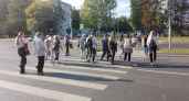 В Воронежской области подвели итоги первого дня выборов