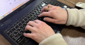 В Воронеже снизилось число IT-мошенничеств, но каждое третье преступление связано с телеком-технологиями