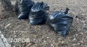 Жители Воронежской области в ходе субботника убрали 226 свалок и высадили около трех тысяч деревьев