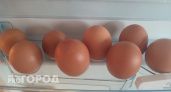 В Воронежской области за девять месяцев 2025 года каждая курица снесла по 223 яйца