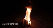 Пожарные спасли человека из горящего дома в Воронежской области 