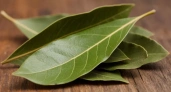 Просто зажигаю лавровый лист у себя в квартире - далеко не все знают, для чего это нужно сделать