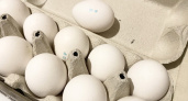Срок годности на коробке — обман: настоящую свежесть яиц определяет один домашний тест