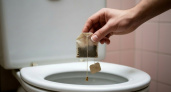 Уходя из дома, кидаю чайный пакетик в унитаз - необычный совет опытной горничной