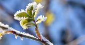Трескучий мороз и холодрыга. Погода в феврале: чего ждать