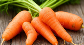 Морковь, которая растёт как по линейке: подборка для тех, кто устал от рогатых уродцев на грядке