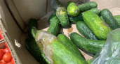 В Воронежской области цена на огурцы превысила 300 рублей за килограмм