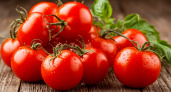 Опытные огородники выбирают только эти сорта помидоров: переживут даже «сибирские морозы»
