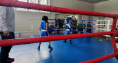 В Лисках состоялся турнир по боксу, приуроченный ко Дню защитника Отечества