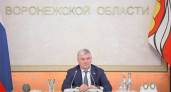 Власти Воронежской области расширят поддержку многодетных семей