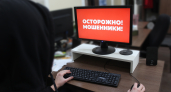 В Воронежской области впервые снизилось число киберпреступлений, но ущерб составил 2,3 миллиарда рублей