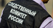 В Воронежской области обрушение балкона с котом привело к возбуждению уголовного дела по требованию Бастрыкина