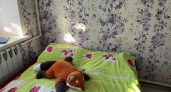 Отправляю веточку в банку — и крепкий сон обеспечен: разницу заметили все домочадцы
