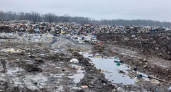 В Воронежской области ущерб от незаконного полигона превысил 11,5 миллиона рублей